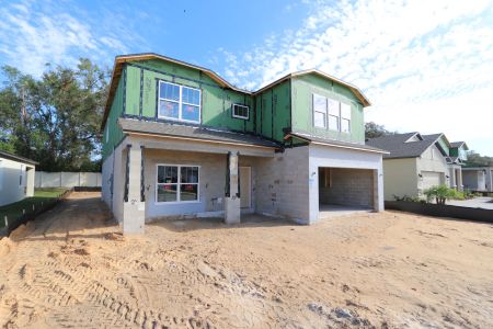 New construction Single-Family house 12008 Hilltop Farms Dr, Dade City, FL 33525 Alenza- photo 60 60