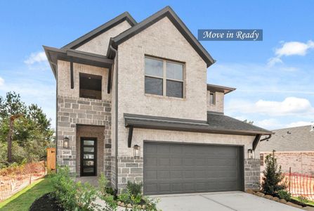 New construction Single-Family house 26145 N Skylight Brook Cir, Montgomery, TX 77316 plan The Haven IX - image