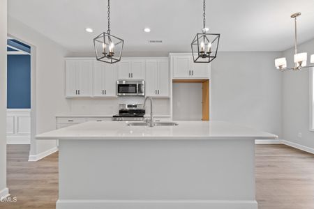 New construction Single-Family house 183 Cardovia Wy, Wendell, NC 27591 - image 9