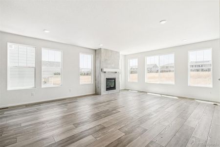 New construction Single-Family house 1905 Water Birch Way, Castle Rock, CO 80108 null- photo 6 6