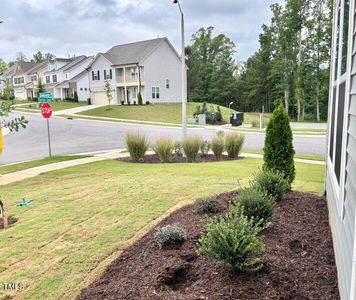 New construction Single-Family house 17 Spring Crest Dr, Unit 68, Angier, NC 27501 plan Middleton - image