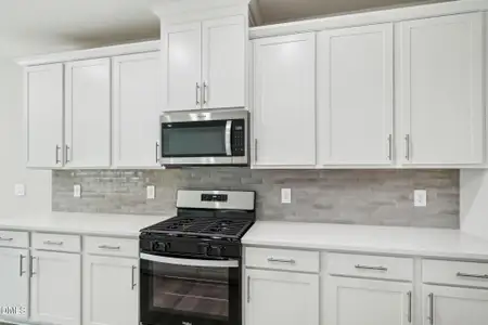 New construction Single-Family house 590 White Birch Ln, Angier, NC 27501 plan Johnson - image 6