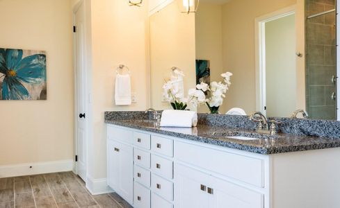 New construction Single-Family house 1041 Sage Pine Cir, Clover, SC 29710 plan Columbia - image 9