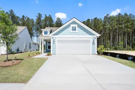 New construction Single-Family house 61 Lilac Wy, Richmond Hill, GA 31324 plan Contour - image