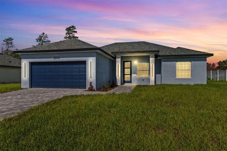 New construction Single-Family house 3370 Sw 129Th Lp, Ocala, FL 34473 - image