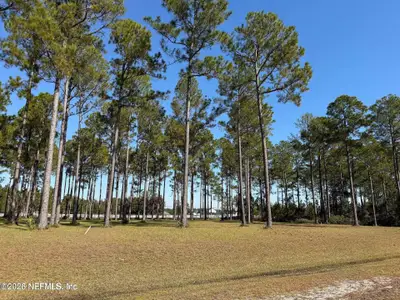 New construction Single-Family house 10107 Hunters Chase Ct, Jacksonville, FL 32219 - image