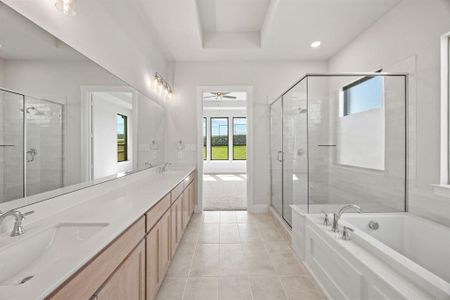 New construction Single-Family house 4113 Gail Ln, Providence Village, TX 76227 plan Ellis - image 5