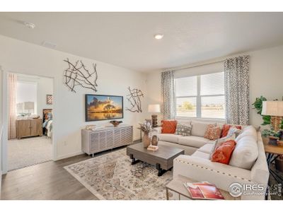 New construction Single-Family house 5828 Tulim Ln, Windsor, CO 80528 plan CHATHAM - image