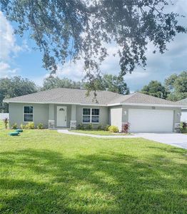 New construction Single-Family house 9337 Se Hwy 42, Summerfield, FL 34491 - image