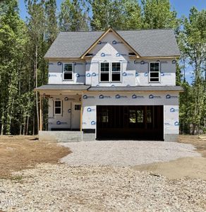 New construction Single-Family house 10440 Stallings Rd, Spring Hope, NC 27882 - image