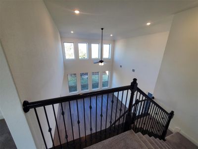 New construction Single-Family house 101 Chimney Stone Trl, Georgetown, TX 78628 Classic Series - Brown- photo 28 28