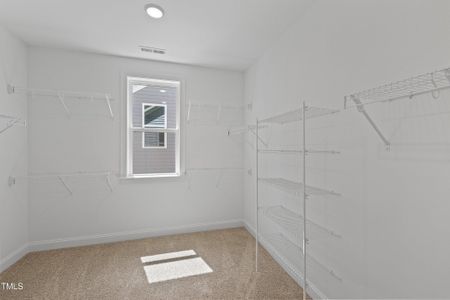 New construction Single-Family house 9168 Dupree Meadow Dr, Angier, NC 27501 plan The Hampton - image 17