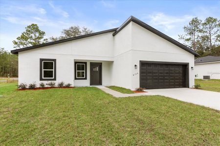 New construction Single-Family house 8100 N Tiny Lily Dr, Citrus Springs, FL 34434 - image