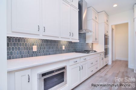 New construction Single-Family house 1069 Sage Pine Cir, Clover, SC 29710 - image 8