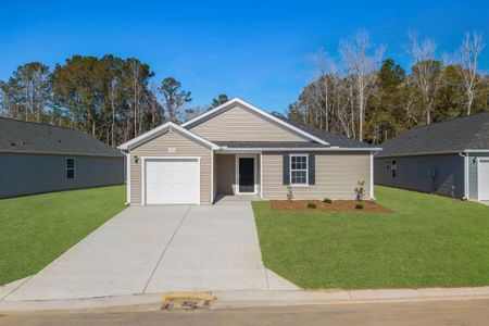 New construction Single-Family house 7079 Woodline Dr Sw, Sunset Beach, NC 28468 plan Embark - image