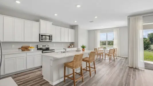 New construction Single-Family house 3537 Golden Wheat Ln, Plant City, FL 33565 plan Jordyn II - image