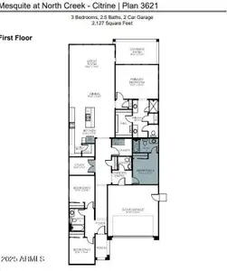New construction Single-Family house 890 W Macaw Dr, Queen Creek, AZ 85140 plan Citrine - image 5