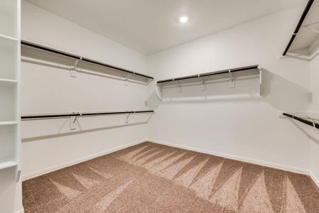 Walk in closet with carpet floors