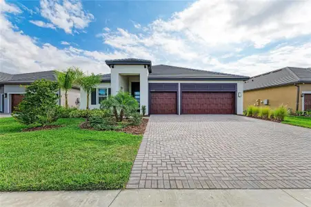 New construction Single-Family house 12208 Violet Jasper Dr, Parrish, FL 34219 - image