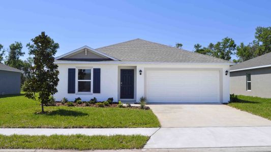 New construction Single-Family house 17213 Wheatberry Blvd, Parrish, FL 34219 plan Dundee - image