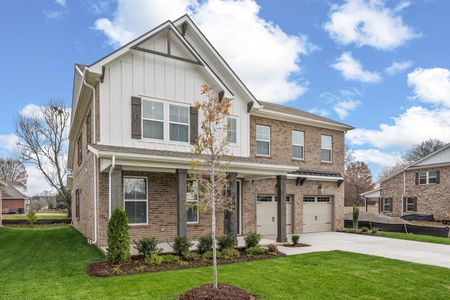 New construction Single-Family house 3506 Winterfell Dr, Murfreesboro, TN 37129 plan Chelsey - image
