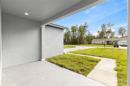 New construction Single-Family house 5207 Sw 165Th Street Rd, Ocala, FL 34473 - image