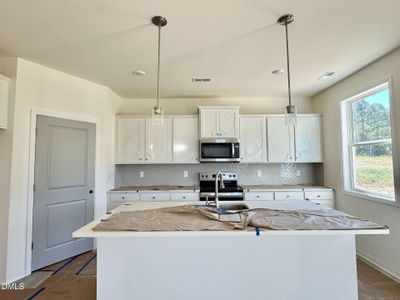 New construction Single-Family house 303 Pecan Valley Wy, Four Oaks, NC 27524 plan Harper II - image 4