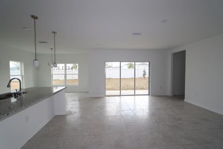 New construction Single-Family house 38350 Tobiano Loop, Dade City, FL 33525 Cabo- photo 110 110