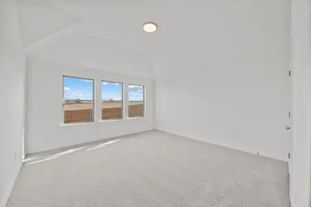 New construction Single-Family house 108 Divisadero Dr, Hutto, TX 78634 plan Colorado - image 20