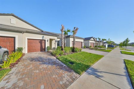 Mirada Active Adult: Active Adult Villas by Lennar in San Antonio - photo 0 0