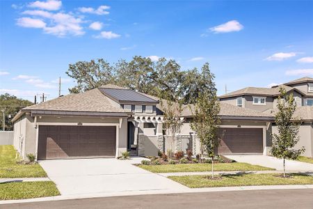 New construction Single-Family house 353 Villa Corte Drive, Lutz, FL 33549 - photo 0