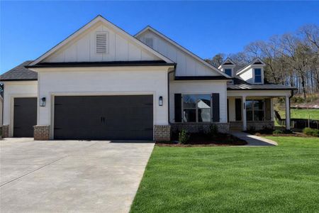 New construction Single-Family house 770 Brooke View Dr, Canton, GA 30115 - image
