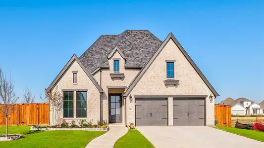 New construction Single-Family house 703 Running Iron Trl, Mansfield, TX 76063 plan 2513W - image