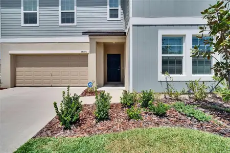 New construction Single-Family house 34780 Rainville Lp, Zephyrhills, FL 33541 - image
