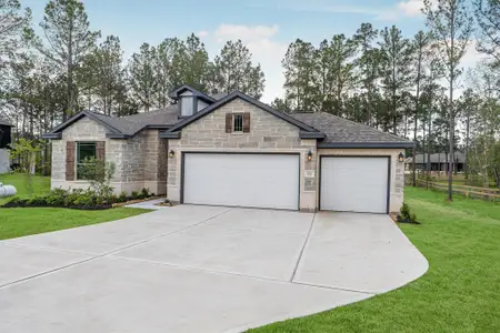 New construction Single-Family house 13336 Wichita Fall Trail Rd, Conroe, TX 77303 plan Harrison - image