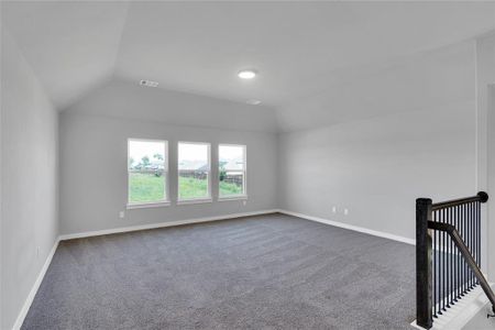 New construction Single-Family house 5064 Picasso Rd, Royse City, TX 75189 plan The Royal - image 17