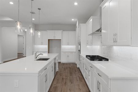 New construction Single-Family house 4538 Majestic Hills Lp, Brooksville, FL 34601 - image 11