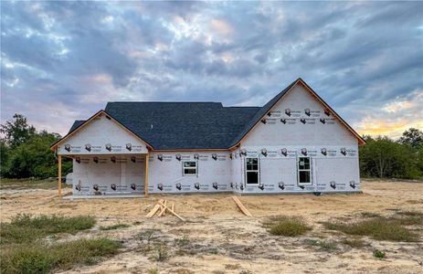 New construction Single-Family house 558 John Rd, Shannon, NC 28386 - image