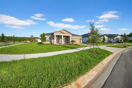 New construction Single-Family house 5841 Riverston Ave, Wesley Chapel, FL 33545 - image
