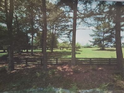 New construction Single-Family house 810 Nix Rd, Milton, GA 30004 - image 4