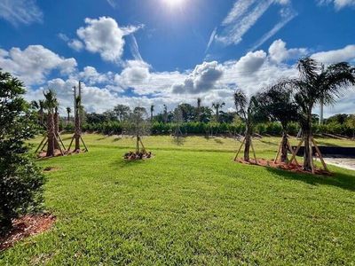 New construction Single-Family house 3916 White Alder Way, Vero Beach, FL 32967 Prestige- photo 3 3