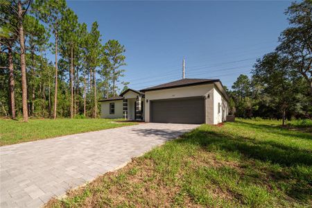 New construction Single-Family house 2631 W Royal Palm Dr, Citrus Springs, FL 34434 - image