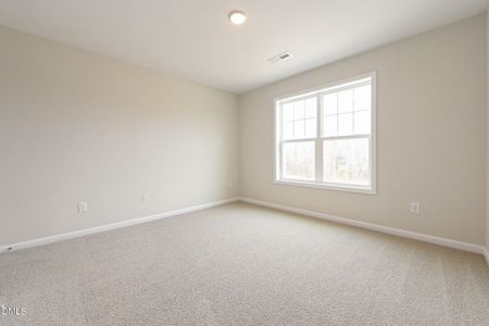 New construction Single-Family house 423 Black Duck Ln, Unit (Lot 100), Lillington, NC 27546 - image 18