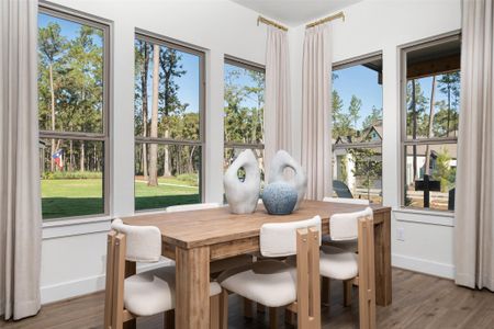 New construction Single-Family house 1166 Genial Ln, Richmond, TX 77407 - image 13