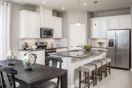 New construction Single-Family house 2578 White Ladyfish Rd, Wimauma, FL 33598 plan Panama - image 6