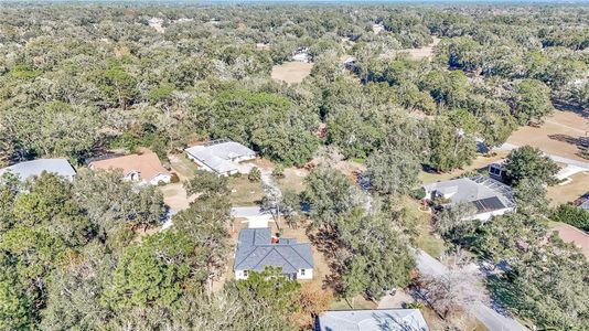 New construction Single-Family house 19610 Sw 93Rd Pl, Dunnellon, FL 34432 null- photo 43 43