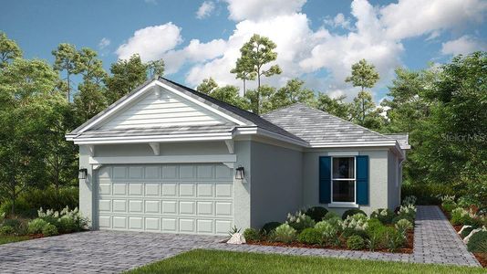 New construction Single-Family house 29555 Zupetta Ln, Wesley Chapel, FL 33543 Roma- photo 0