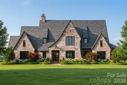 New construction Single-Family house 22035 Endor Wy, Davidson, NC 28036 - image
