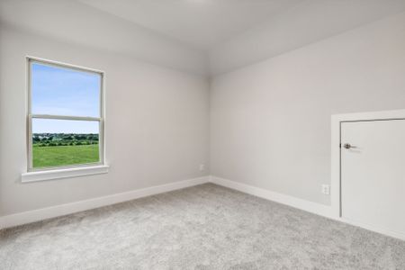New construction Single-Family house 4900 Sagan Dr, McKinney, TX 75071 plan Denali - image 19