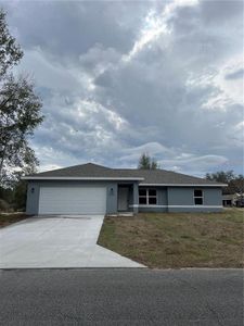 New construction Single-Family house 11891 Se 70Th Avenue Rd, Belleview, FL 34420 - image
